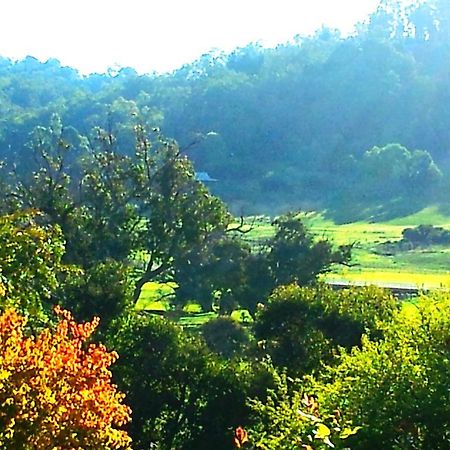 Affittacamere Brookvale House Balingup Esterno foto