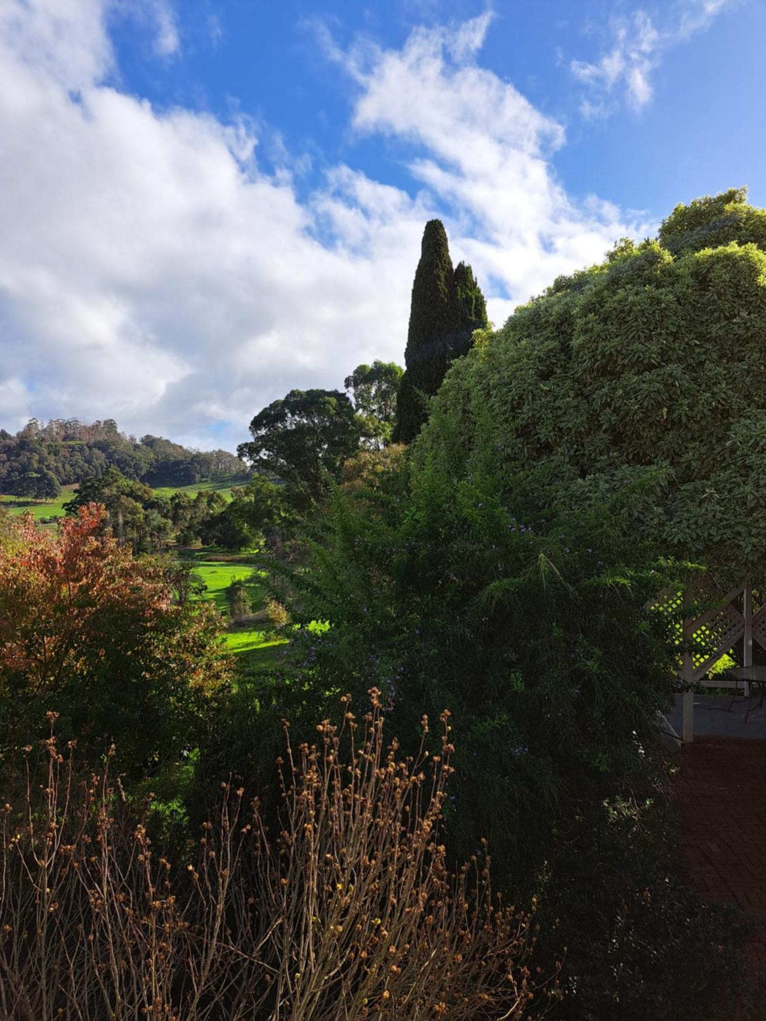 Affittacamere Brookvale House Balingup Esterno foto