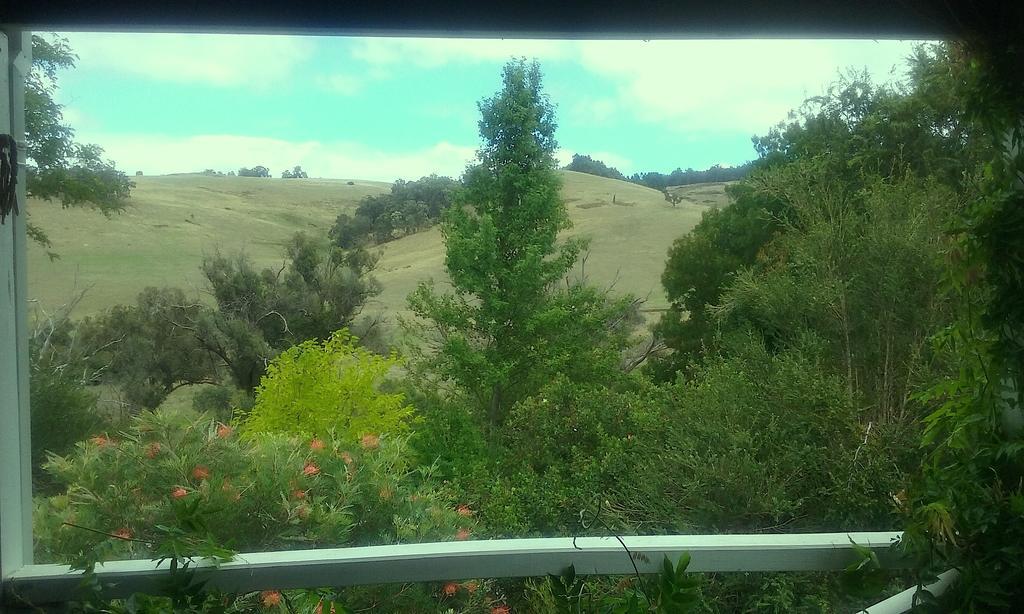 Affittacamere Brookvale House Balingup Esterno foto