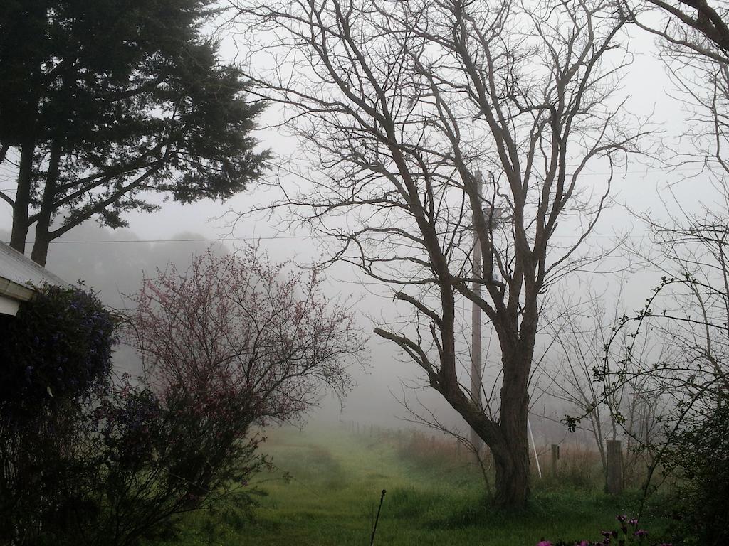 Affittacamere Brookvale House Balingup Esterno foto