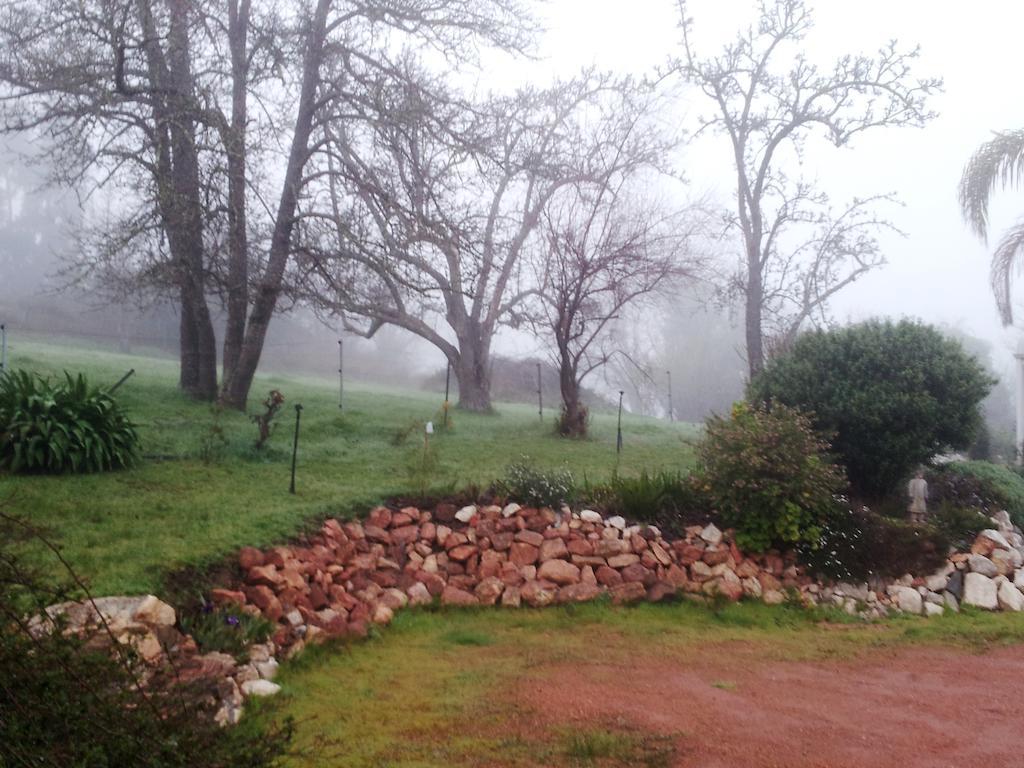 Affittacamere Brookvale House Balingup Esterno foto