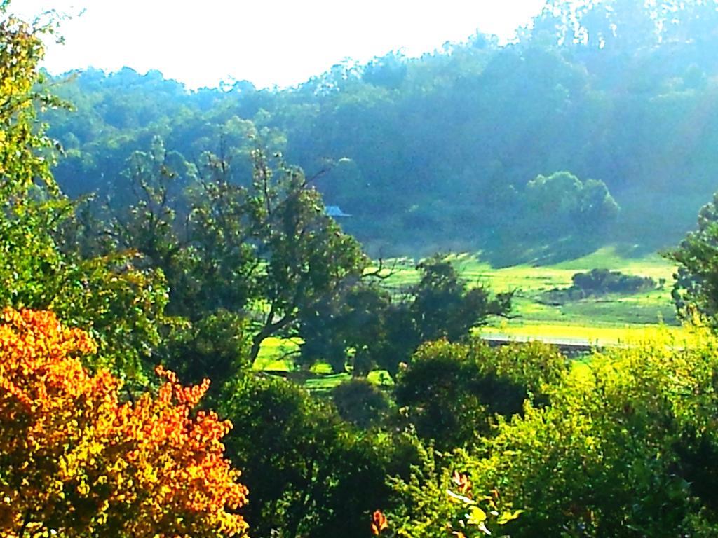 Affittacamere Brookvale House Balingup Esterno foto